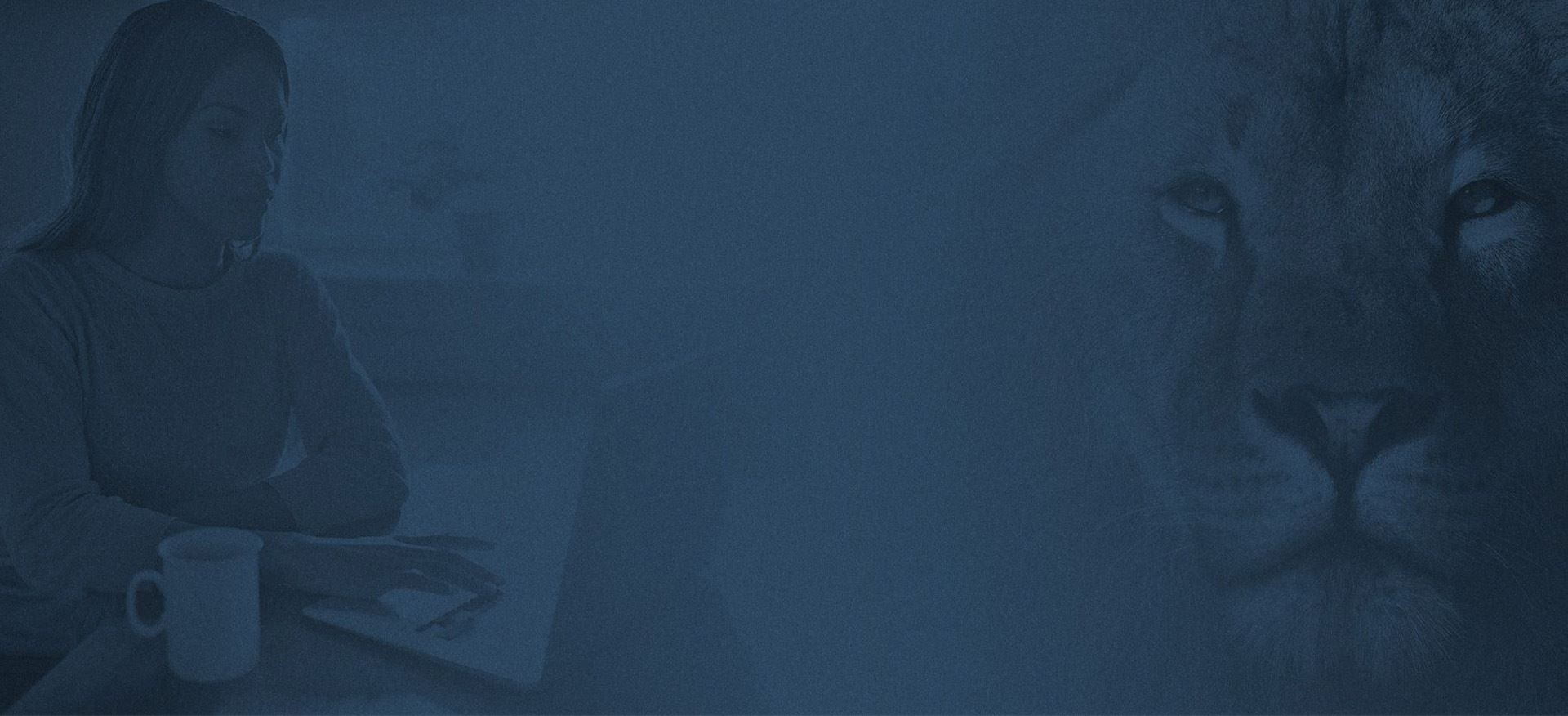 The Woodlands Divorce Lawyers TX Parchman Law Group