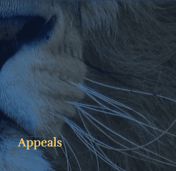 Appeals