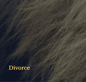 Divorce