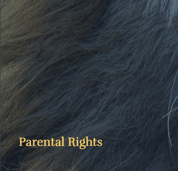 Parental Rights
