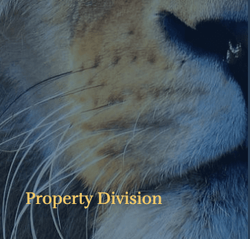 Property Division