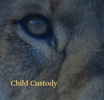 Child Custody