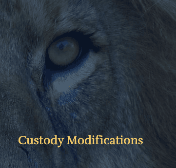 Custody Modifications